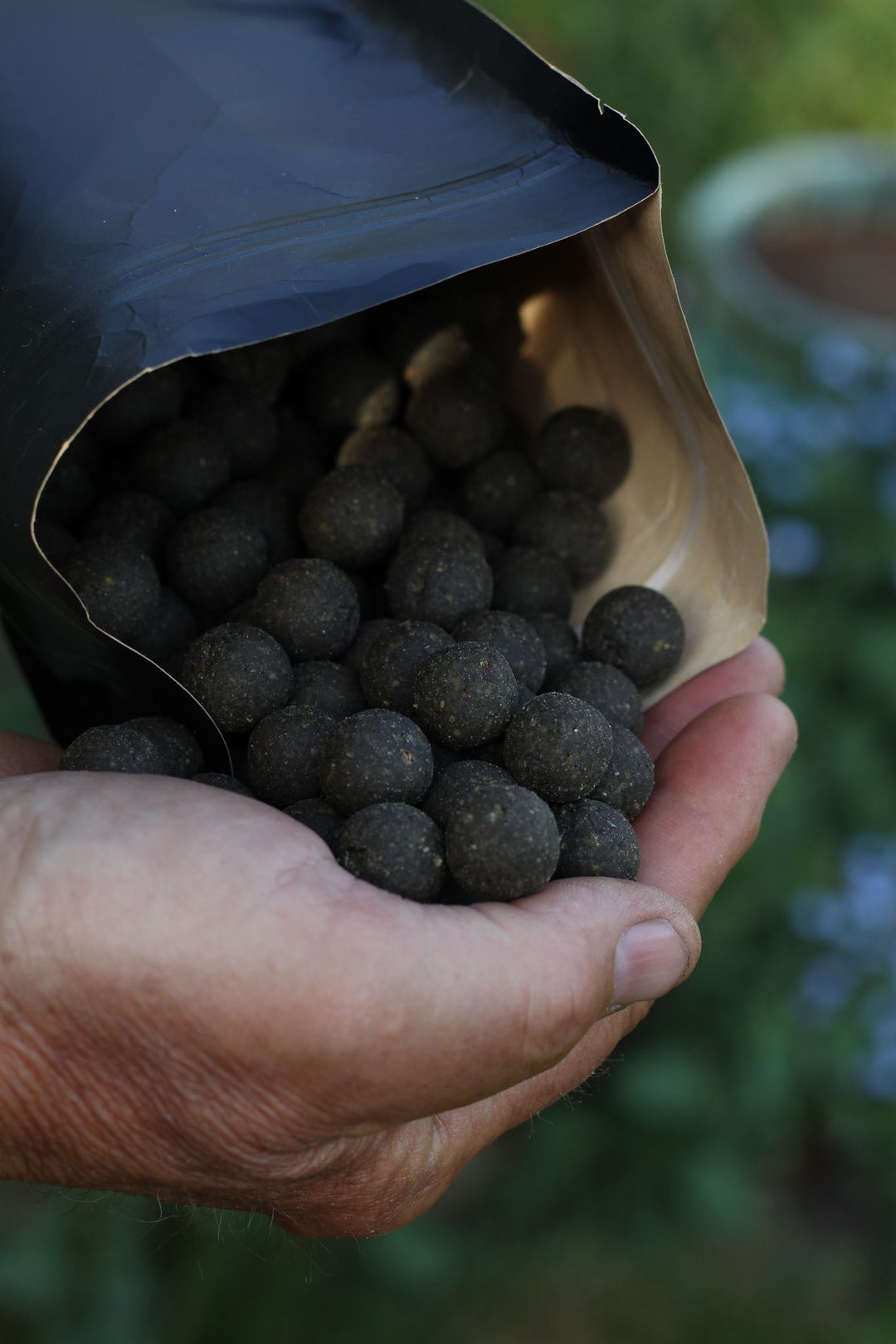THE SWARM - BOILIES - Shelflife