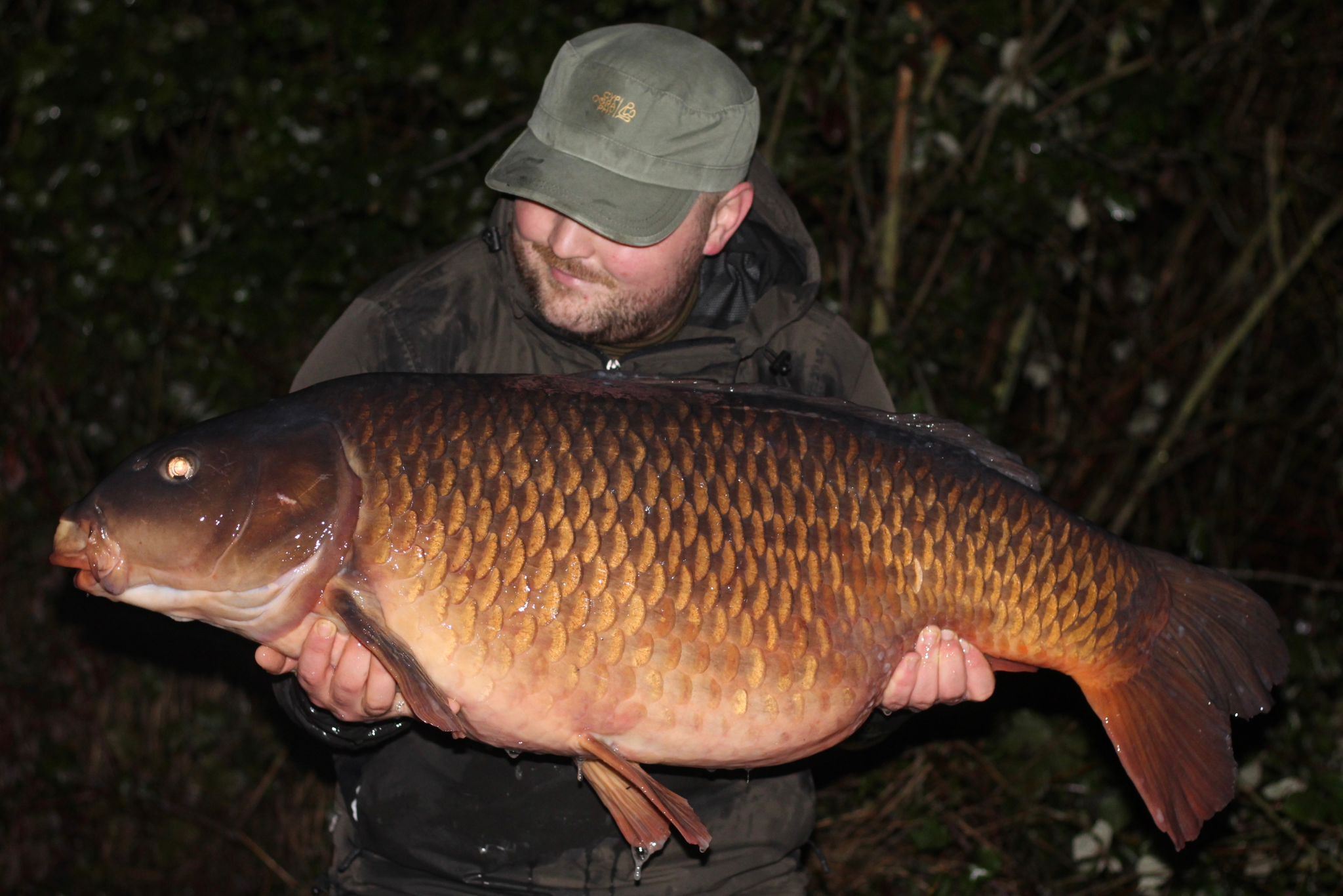 The Chase for a Winter Forty...