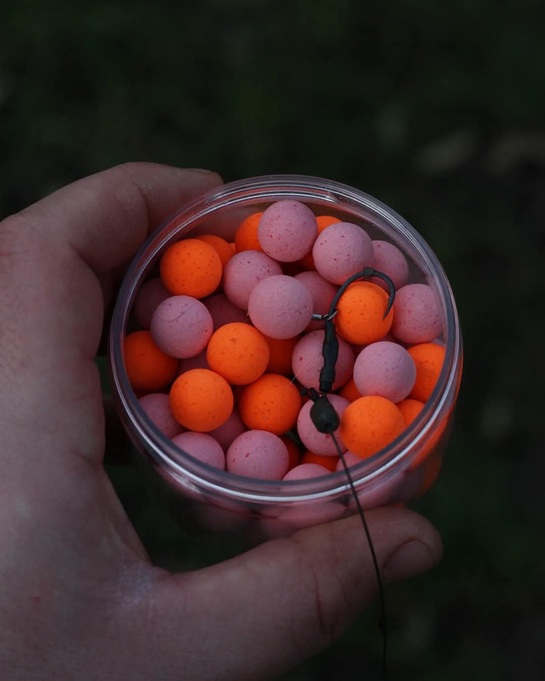 HOOKBAITS
