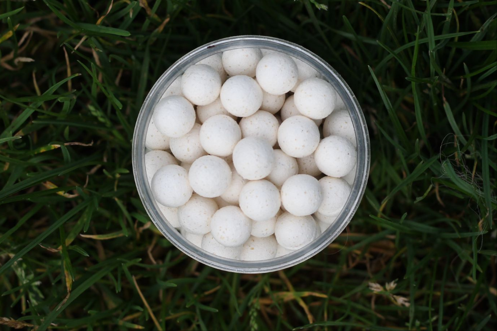 Cheese & Garlic - LIMITED EDITION - POP UPS