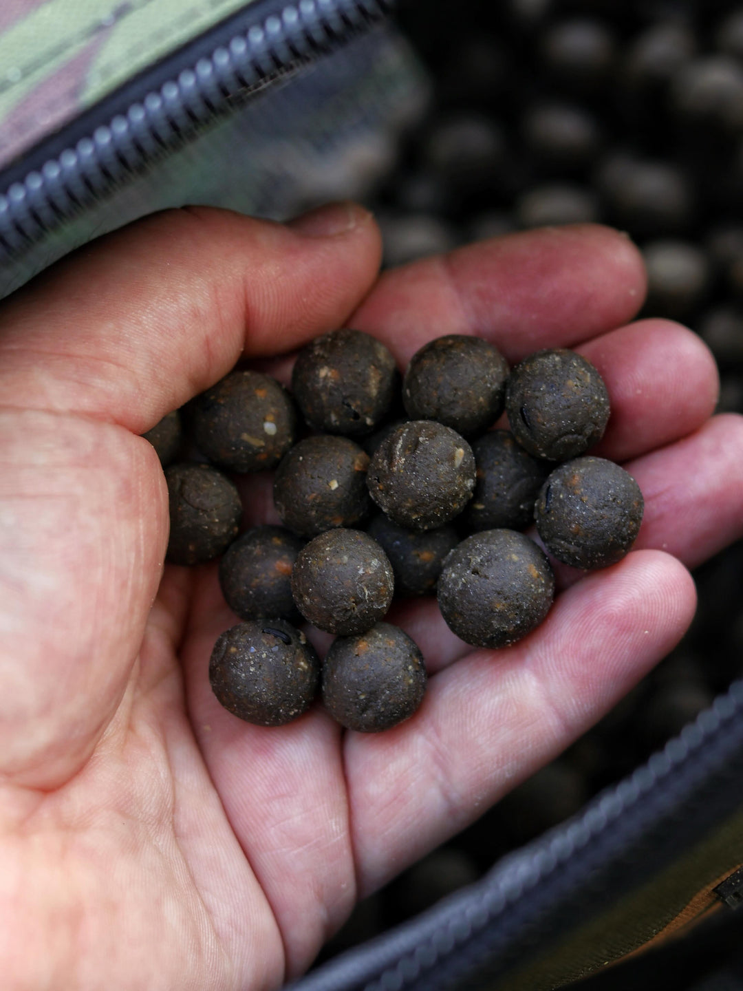 THE SWARM - Shelf Life Boilies (1kg)