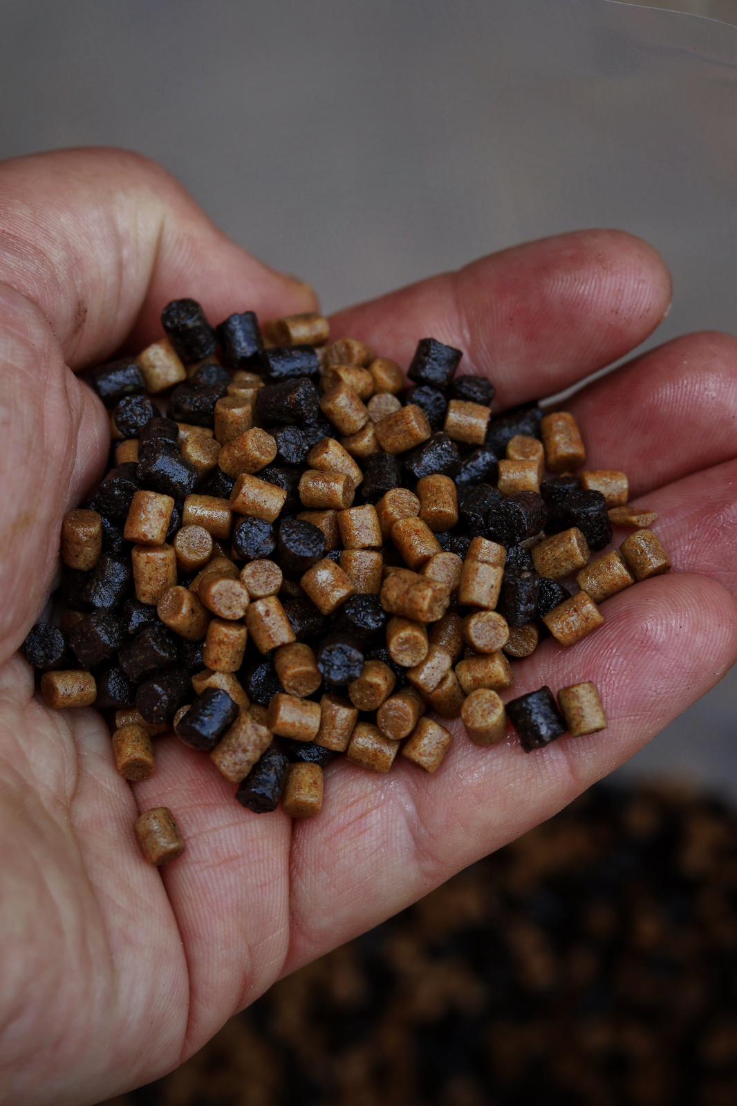 BUTTER CRUNCH - Oily Pellet