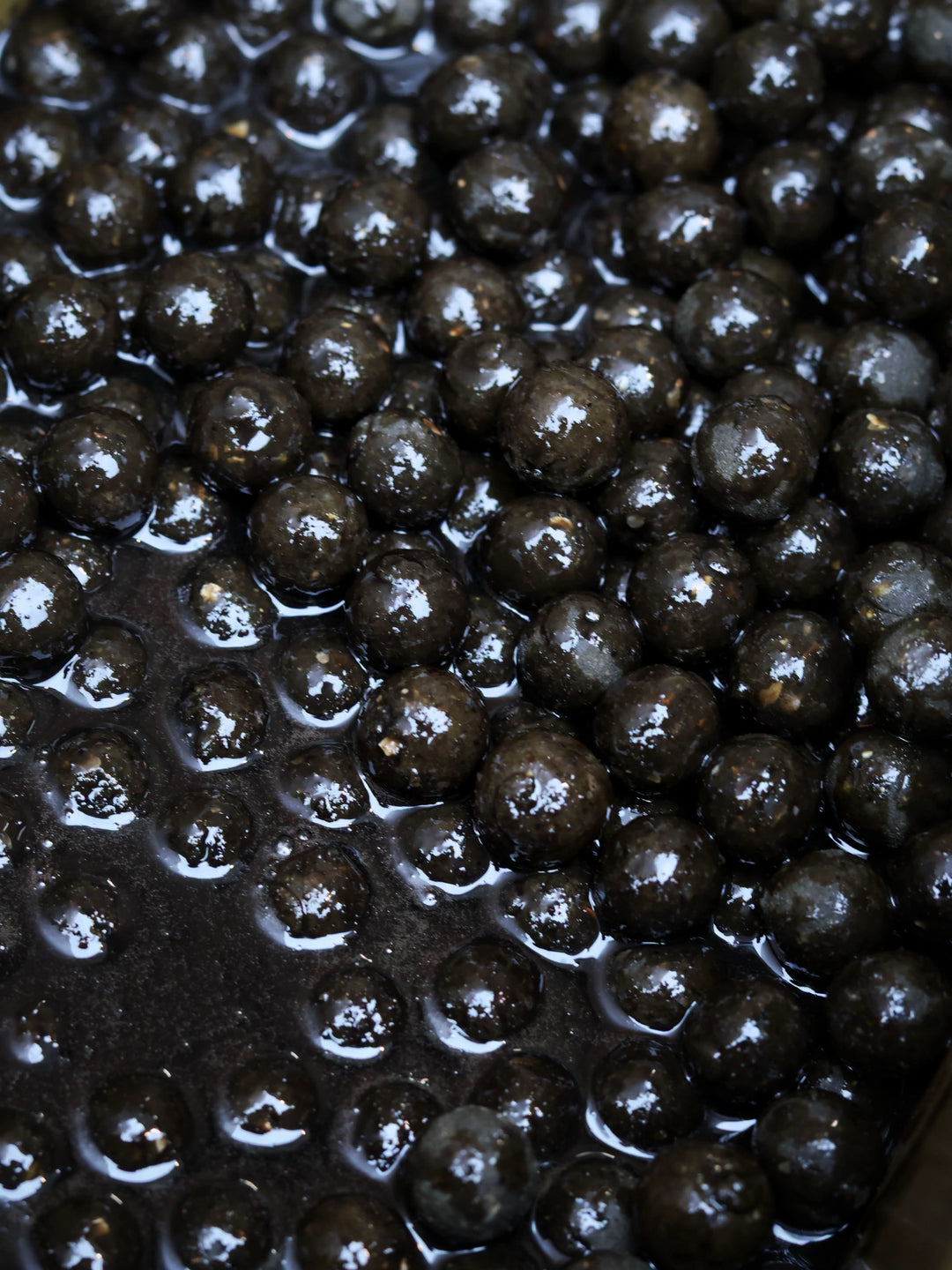 THE SWARM - Shelf Life Boilies (5kg)