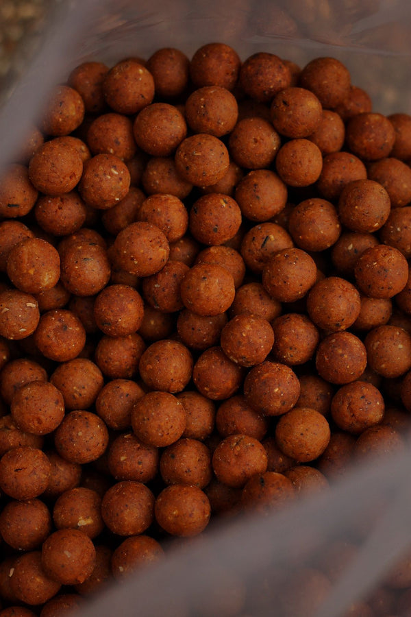 THE SHELLFISH - Shelf Life Boilies (5kg)