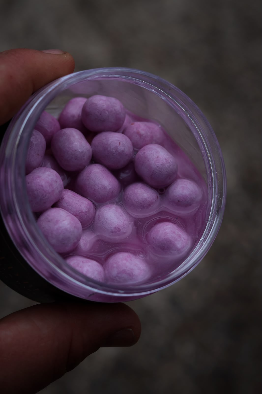 WILD BERRY - Infused &amp; Boosted Wafters