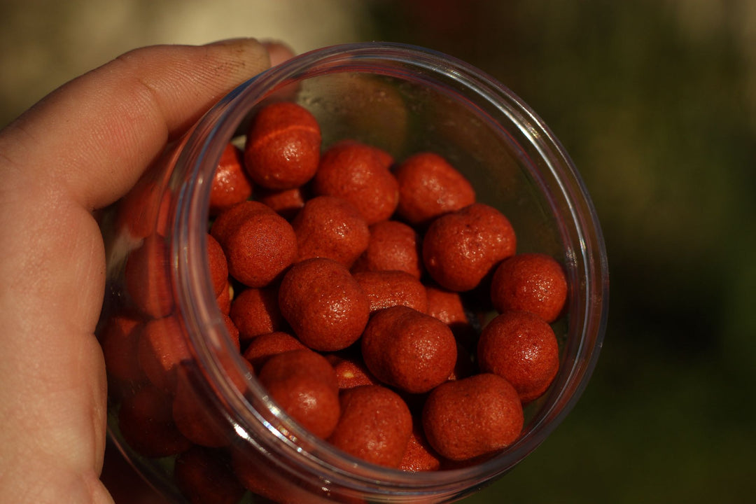 CHRISTMAS LIMITED EDITION - DUMBELL WAFTERS - Maple Cream & Cinnamon